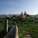 아파트 Schloss Manndorf Gaestehaus *