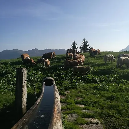 Апартаменты Schloss Manndorf Gaestehaus *