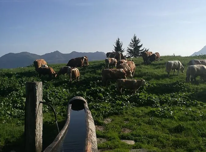 Apartament Schloss Manndorf Gaestehaus *